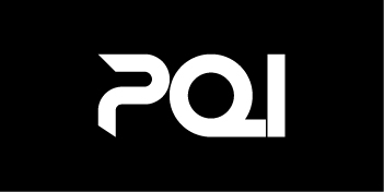 PQI Adapters and gender changers